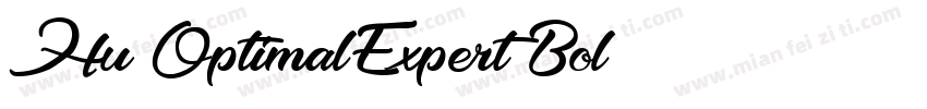 Hu_OptimalExpert Bol字体转换